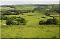 Farmland, Ridlers Farm