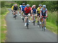 On the Newry Canal path