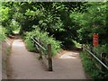 Footpath to The Gallops