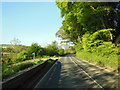 The A39 near Trehannick Farm