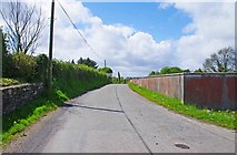 R7898 : The road near Gortaganna Graveyard, near Looscaun, Co. Galway by P L Chadwick