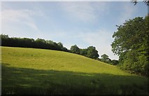 SS8526 : Hillside near Dunsley Farm by Derek Harper