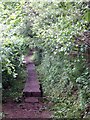 Boardwalk on footpath on Bouchers Hill