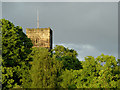 Hillside with church tower in Droitwich, Worcestershire