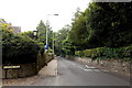 Station Road north of Knowle Drive, Sidmouth