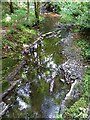 The Bowden Burn