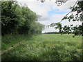 Cereal crop off Harris Barton Lane