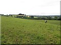 Corchoney Townland