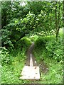 Boardwalk on footpath to Dodd