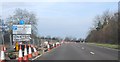 A31, Hogs Back