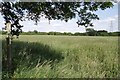 Footpath To Battlesbridge