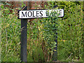 TM3585 : Moles Lane sign by Geographer