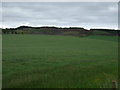 Farmland, East Bucklyvie