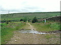 The Pennine Bridleway on Matley Moor