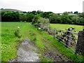 An open field, Upper Drumnaspar