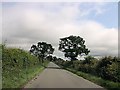 Road immediately due north of Bryn-y-plentyn entrance