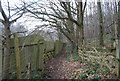 Bridleway, Howfield Wood