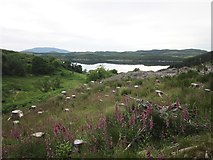 NM8102 : View towards Loch Craignish from Ormaig rock art site by Patrick Mackie