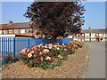 Roses on Bilsdale Grove, Hull