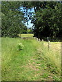 Footpath into Greens Norton