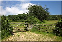 SX6159 : Gates below Stone Wood by Derek Harper