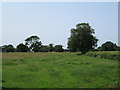 Field near Bronington