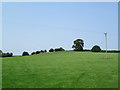 Field near Welshampton