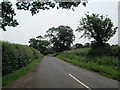 SJ5447 : Minor road, near junction with the A49 by David Weston