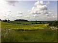 Farmland near Hanging Houghton