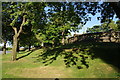 Balustrade under the trees in Greenhead Park