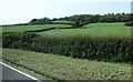 Farmland between the A25 and the demesne wall of Castleward