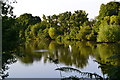 Evening view across fishing lake at Send