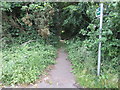 Path to Slindon Common