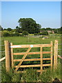 Bridleway into Slapton