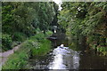 Paddling the Basingstoke Canal