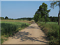 Bridleway near Great Lodge, Great Bardfield