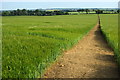 Path down to Knightley Way