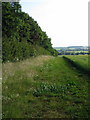 Field slopes towards Knightley Way