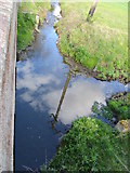 N9523 : Painestown River (and tributary) near N7, east of Kill by jwd