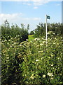 Footpath to Bradden