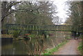 Footbridge, Basingstoke Canal