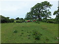 Looking back towards the buildings at Leason