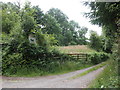 Track to Long Meadow Farm