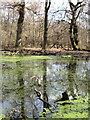 SP9713 : Reflections in Clickmere Pond (March 2010) by Chris Reynolds