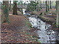 N9734 : Crodaun Stream meets tributary by Castletown House by jwd