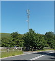 Arqiva telecoms mast, Bedwellty Pits