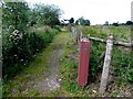 Riverside pathway, Dunnamore