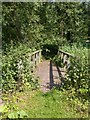 Wooden footbridge over Bourne Brook