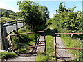 Access lane to Lower Farm north of Hollybush