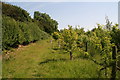 Footpath to the Horncastle Road from Raithby